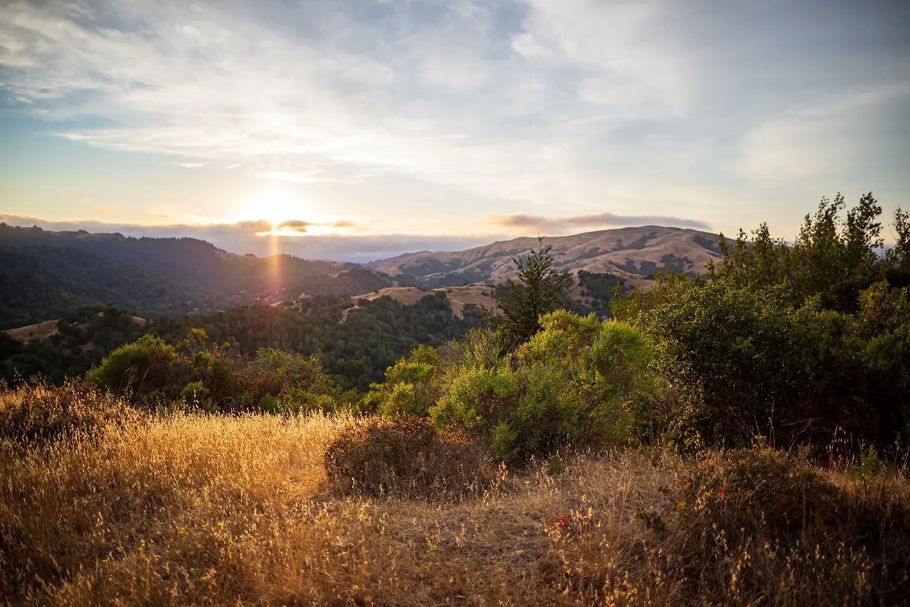 late afternoon in the California mountains