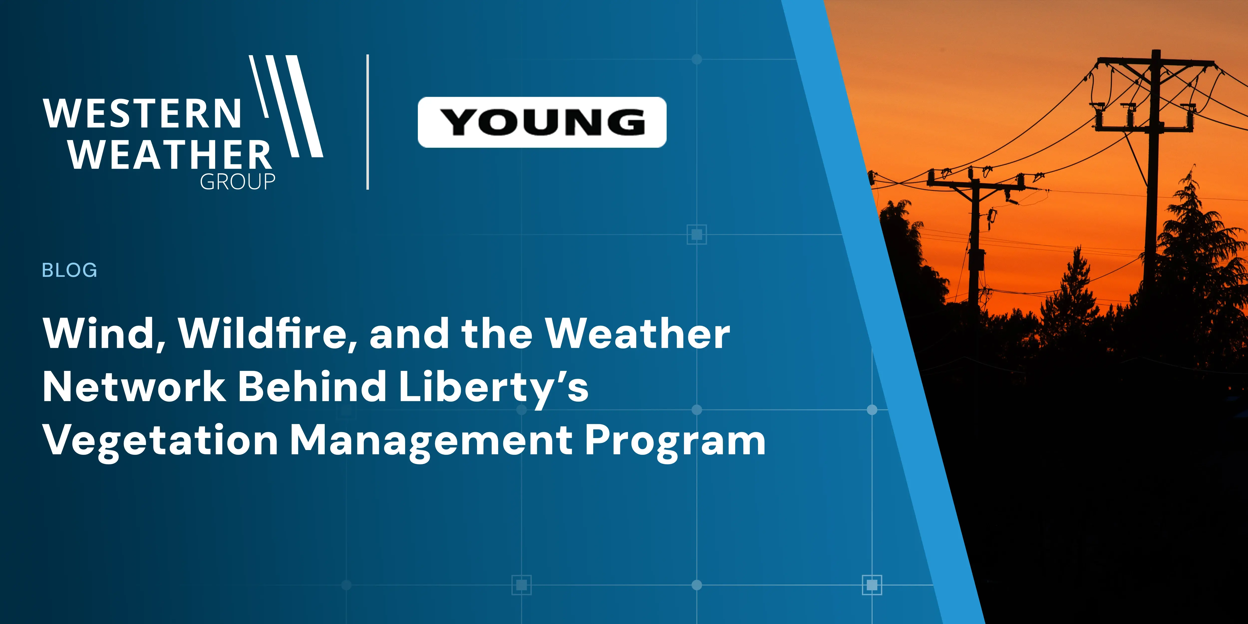 Wind, Wildfire, and the Weather Network Behind Liberty's Vegetation Management Program