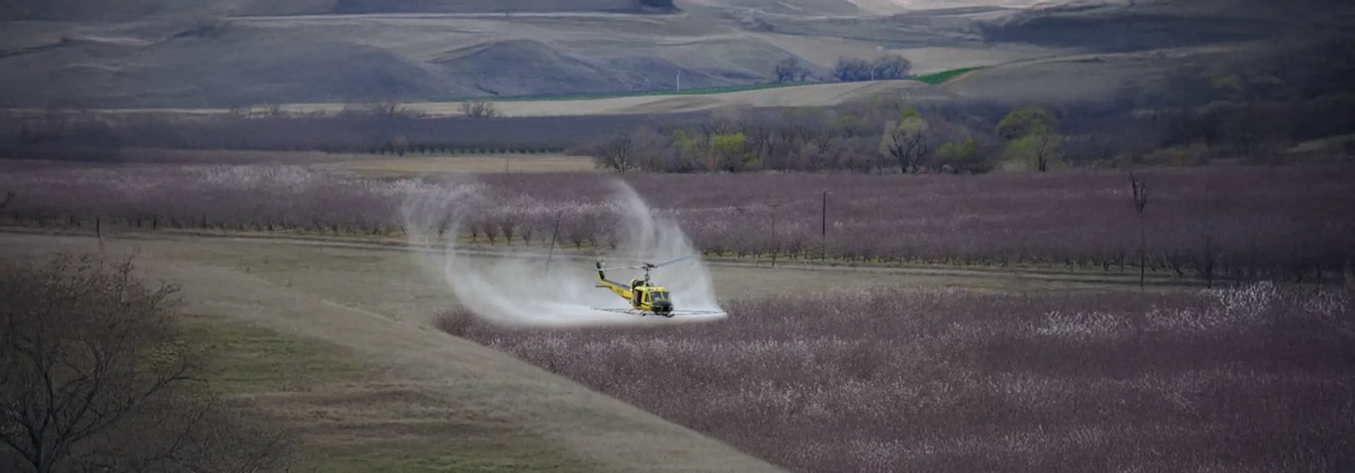Real Time Weather Data Aiding in Crop Dusting Services