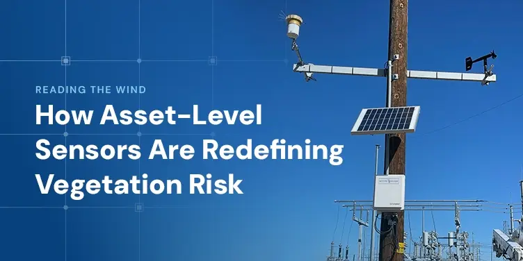 Reading the Wind: How Asset-Level Sensors Are Redefining Vegetation Risk