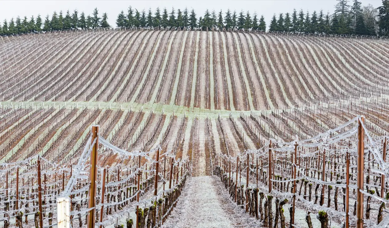 temperature-extremes