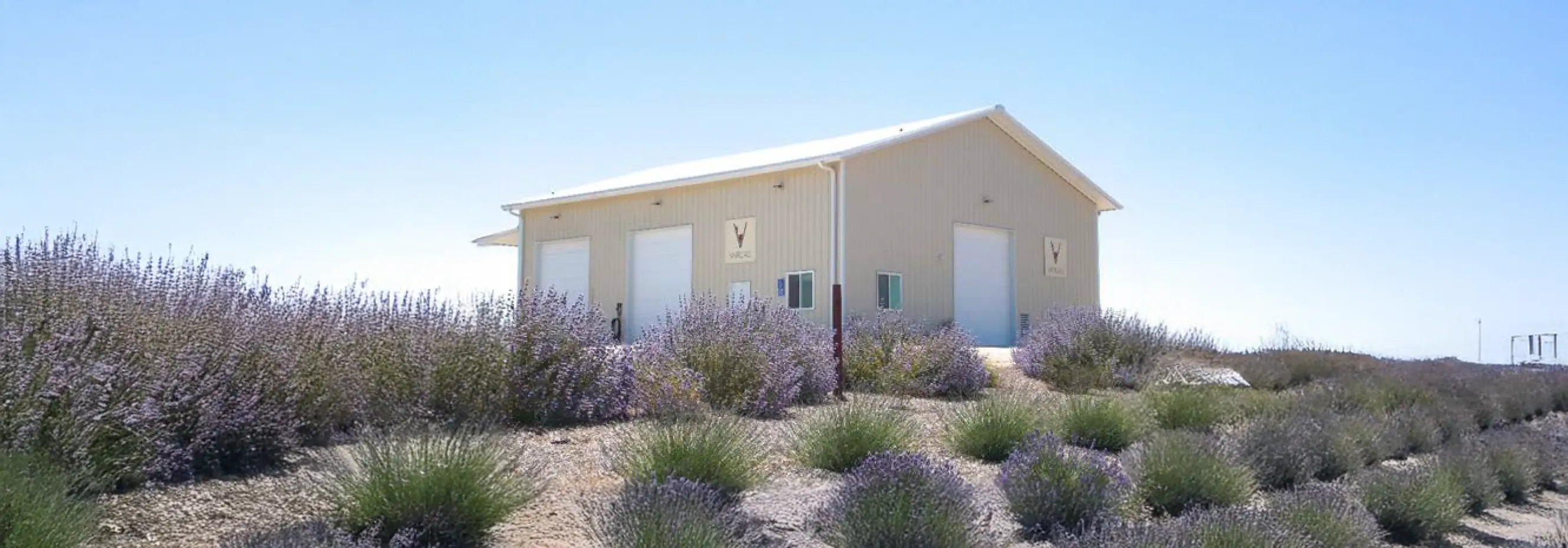 Utilizing Weather Station Data Within the WWG Database for Vineyard Operations
